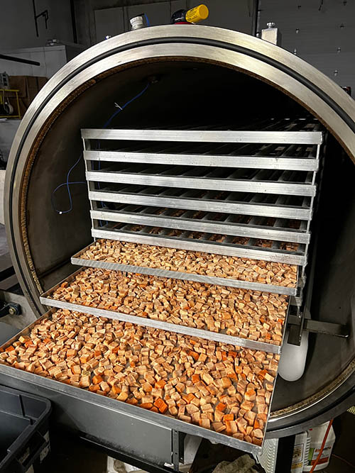 Freeze Dryer