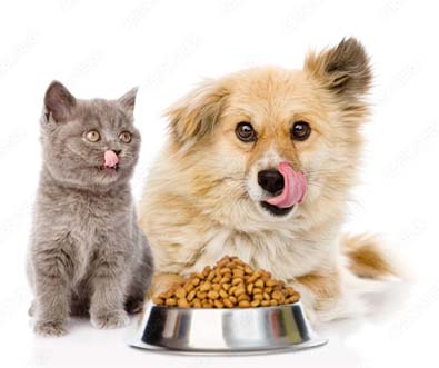 Pet treats