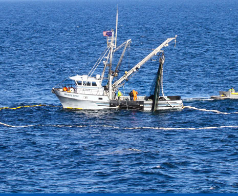 Salmon Seiner